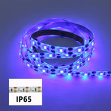 50ft Led Strip Lights Tenmiro Smart Led Light Strips Music Sync Color Changing LED Lights App Control freeshipping - Jiehui Lighting Appliance