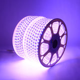 Manual Button  Changeable  Pure Copper Wire RGB 100M AC 220V 5050 SMD Led Strip Light